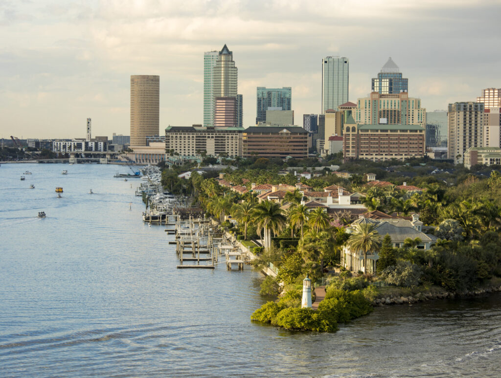 SEO & Website Design in Tampa, Florida